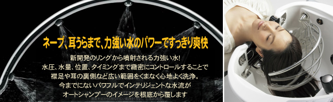 �w�A�[�@�T�C�G���X�@�}�c�i�J